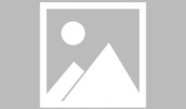 机机对机机91直播,科技盛宴，智能互动新体验